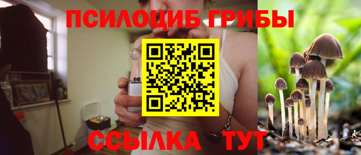 Абакан  Псилоцибиновые грибы Psilocybe  Галлюциногенные грибы MAGIC MUSHROOMS  Вход с VPN 