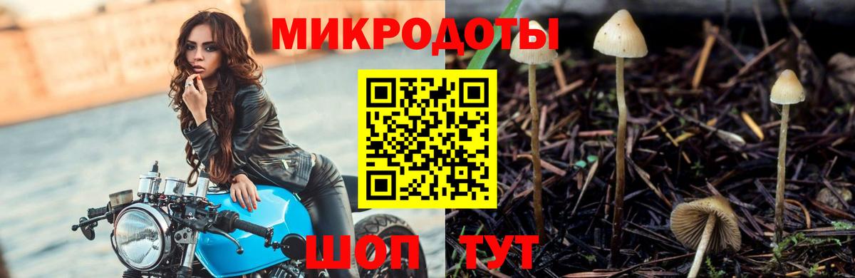 Галлюциногенные грибы мухоморы Абакан